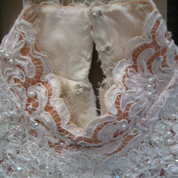 Michael Casey Ivory/Blush Alencon Lace Column Sheath Gown Long Dress Bridal Sz 6 - Picture 6 of 16